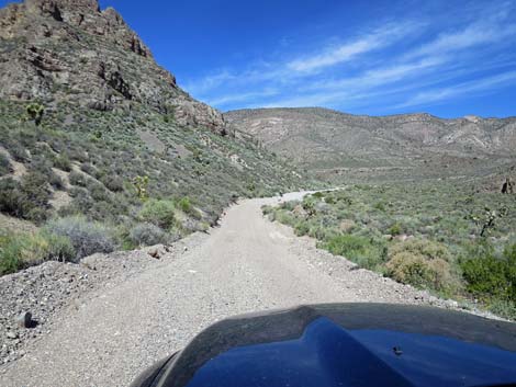 Curtis Canyon Road