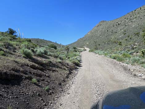 Curtis Canyon Road