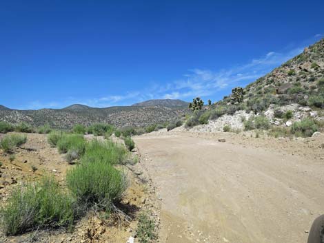 Curtis Canyon Road