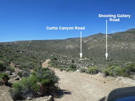 Curtis Canyon Road