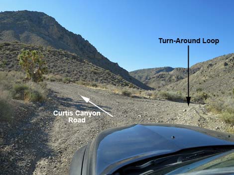 Curtis Canyon Road