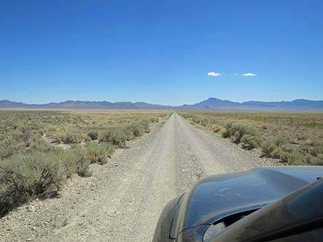 Timber Pass Road