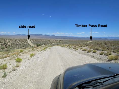 Timber Pass Road