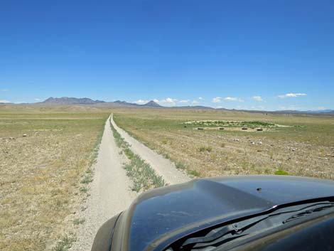 Timber Pass Road