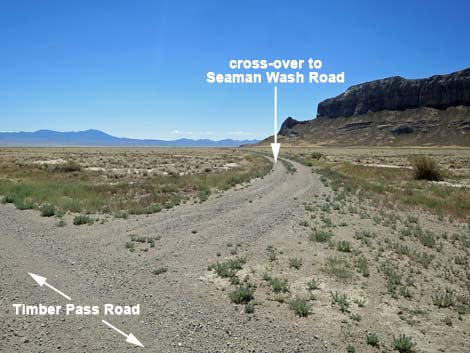 Timber Pass Road