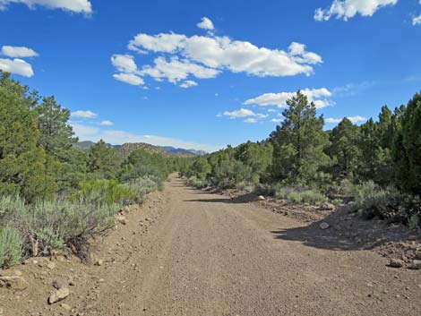 Wild Horse Valley Road