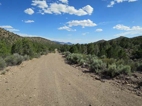 Wild Horse Valley Road