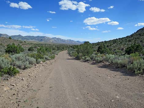 Wild Horse Valley Road