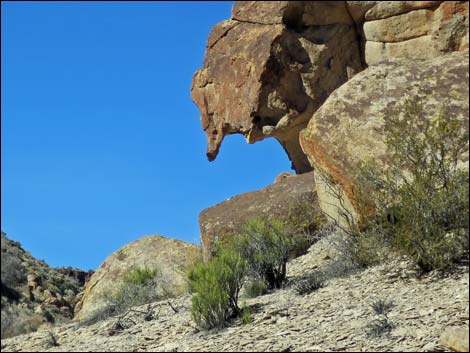 Valley of Faces