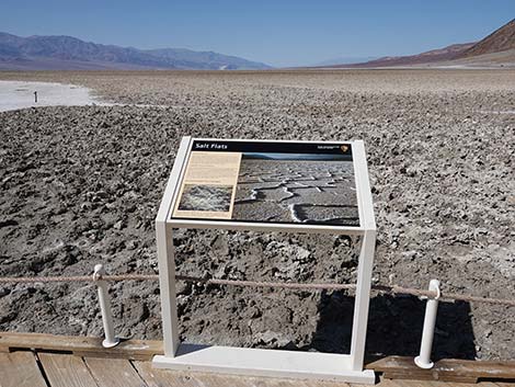 Badwater Salt Flat Trail