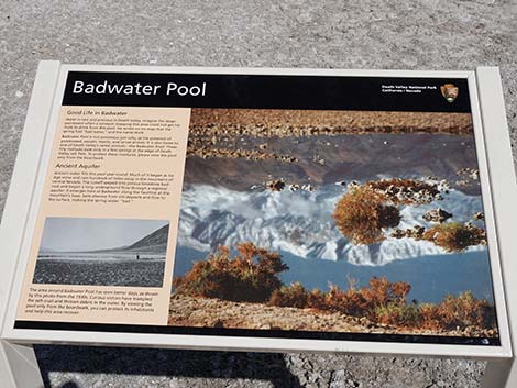 Badwater Salt Flat Trail