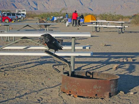 Stovepipe Wells Campground