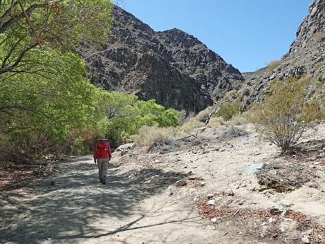 Darwin Falls Trail