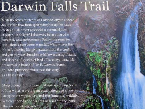 Darwin Falls Trail