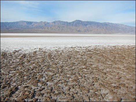 Harmony Salt Flats