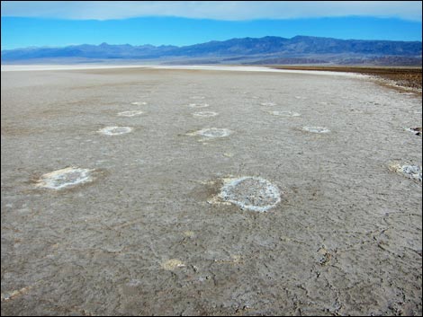 Harmony Salt Flats