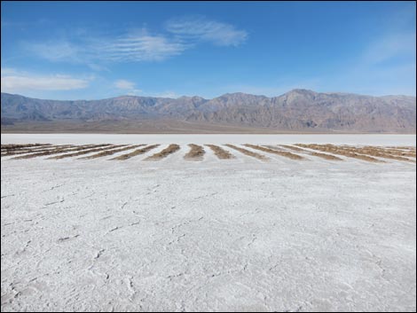 Harmony Salt Flats