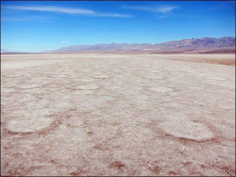 Harmony Salt Flats