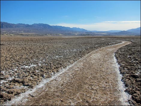 Harmony Salt Flats