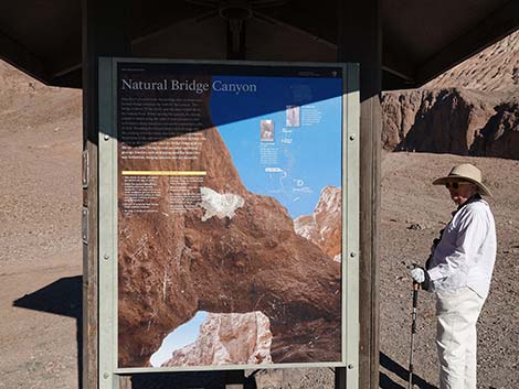 Natural Bridge Canyon