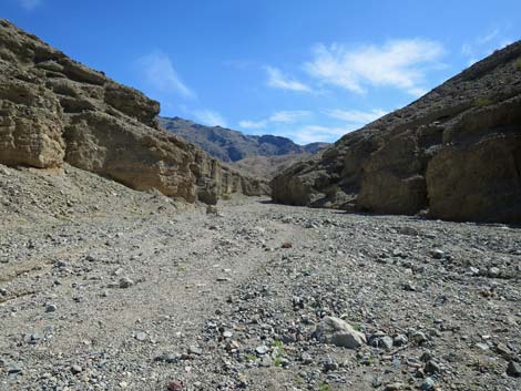 Sidewinder Canyon