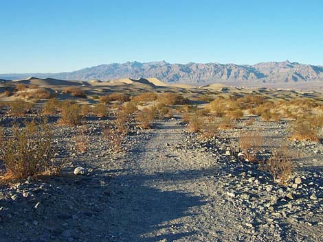 Stovepipe Wells Sand Dunes