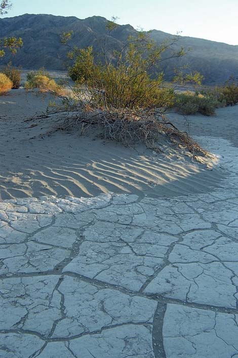 Stovepipe Wells Sand Dunes