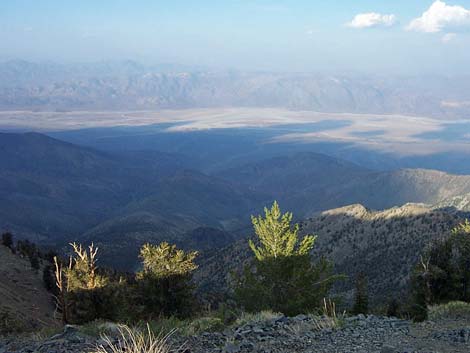 telescope peak