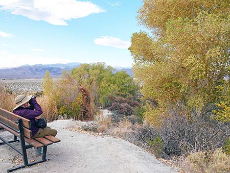 Birdsong Trail 