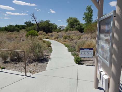 Jackrabbit Loop Trail