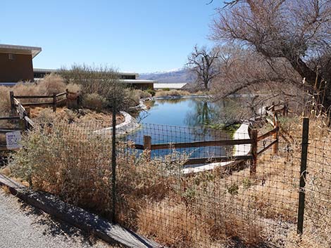 Jackrabbit Loop Trail