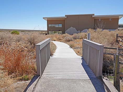 Jackrabbit Loop Trail