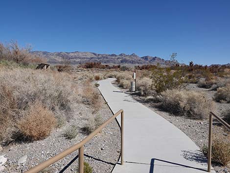 Jackrabbit Loop Trail