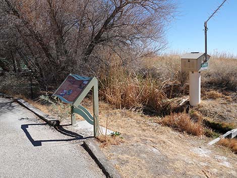 Jackrabbit Loop Trail