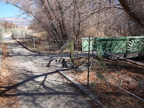 Jackrabbit Loop Trail