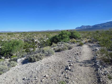 Whispering Ben Trail