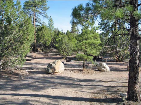 Desert Pass Camp