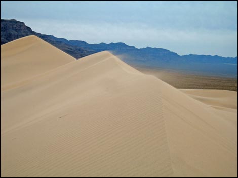 Desert Dry Lake Dunes North