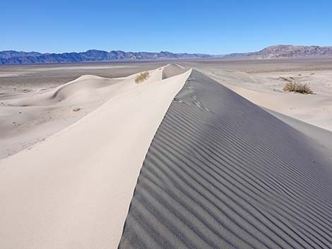 Desert Dry Lake Dunes