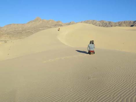 Desert Dry Lake Dunes North