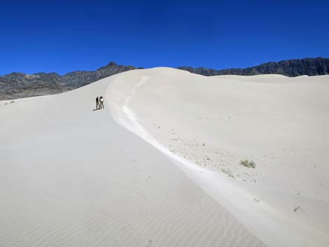 Desert Dry Lake Dunes