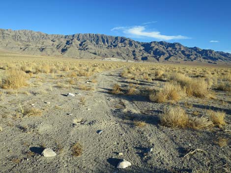 Desert Dry Lake Dunes