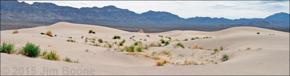 Desert Dry Lake Dunes