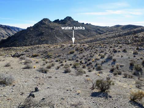 Joe May Canyon Guzzler