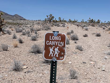 Long Canyon Trailhead