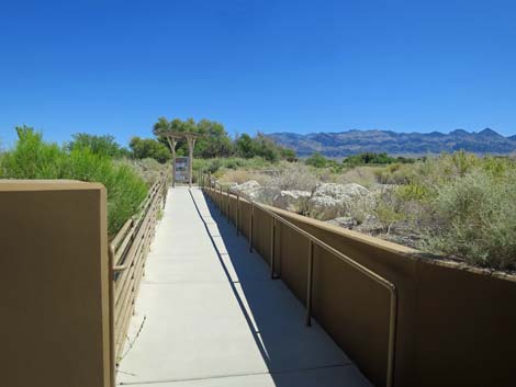 Bighorn Trail