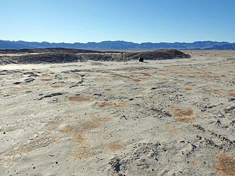 Desert Dry Lake Corral