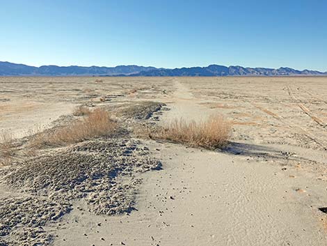 Desert Dry Lake Corral