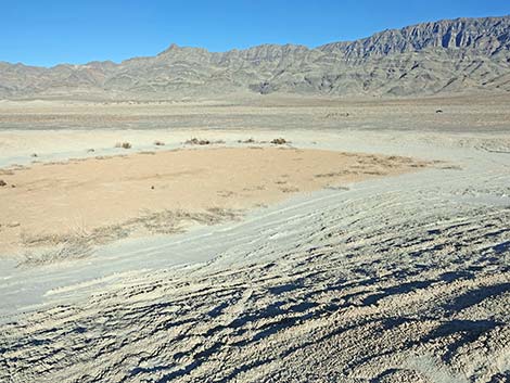 Desert Dry Lake Corral