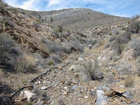 quail spring guzzler